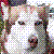 :iconpoofyhusky: