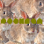 :iconpoohfan: