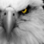 Poolie15 :iconpoolie15: