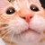 :iconpoopkunst: