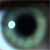 :iconpoopyfish: