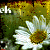 :iconpoosheek: