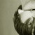 :iconpop-12: