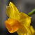 :iconpopcorn24: