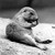 :iconpopol-vooch:
