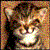 :iconpopolin: