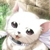 :iconpoppetstance: