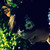 :iconpoprockphotography: