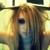 :iconpopsicle-shaker: