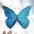 :iconpopsicle-shaker: