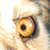 :iconPopularFurryArtist:
