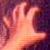:iconporcaria: