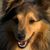 :iconporcelain-mage: