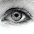:iconporclinxdisaster:
