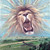 :iconporcupine-matt: