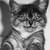 :iconporingzet: