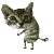 :iconporn-flake: