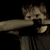 :iconport-15: