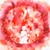 :iconport-iceburg: