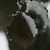 :iconportalcamera: