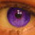 :iconportions-for-foxes: