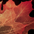 :iconportrait-project:
