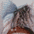 :iconportraitofdesire: