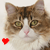 :iconportraitsbykimberly: