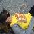 :iconposh-tramp: