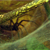 :iconpossessedtim: