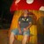 :iconpostaasu:
