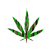 :iconpot-head: