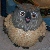 :iconpotatobucket: