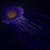 :iconpotatoskin: