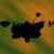 :iconpotf-fanclub: