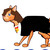 :iconpotterfan1: