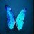 :iconpotterprincess007: