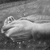 :iconpotyompottysd: