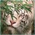 :iconpound-of-hope: