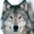 :iconpousinet1: