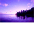 :iconpowderedsugar: