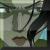 :iconpowermadavatargirl: