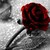 :iconpownredemtion65: