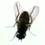:iconpozeom: