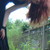 :iconpr0ngs: