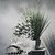 :iconpr33mium:
