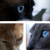 :iconpracticallyprudent: