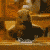 :iconprairiedogplz: