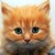 :iconprairiepixie: