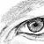 :iconprana306: